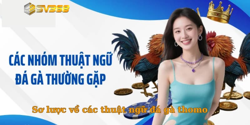 Sơ lược về các thuật ngữ đá gà thomo